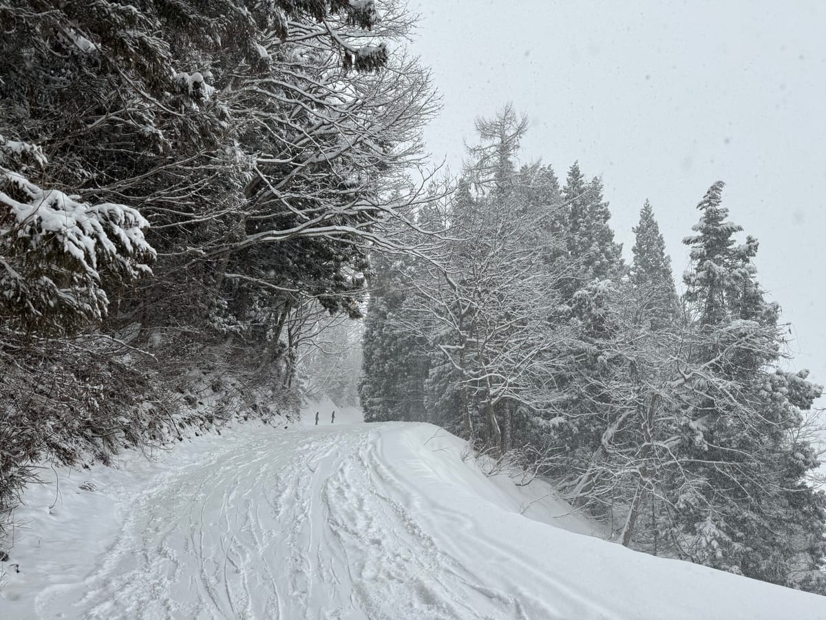 Japan 🇯🇵 - Day 49 & 50 - Togari Onsen ski trip